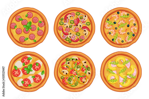 Six types of pizza on a white background