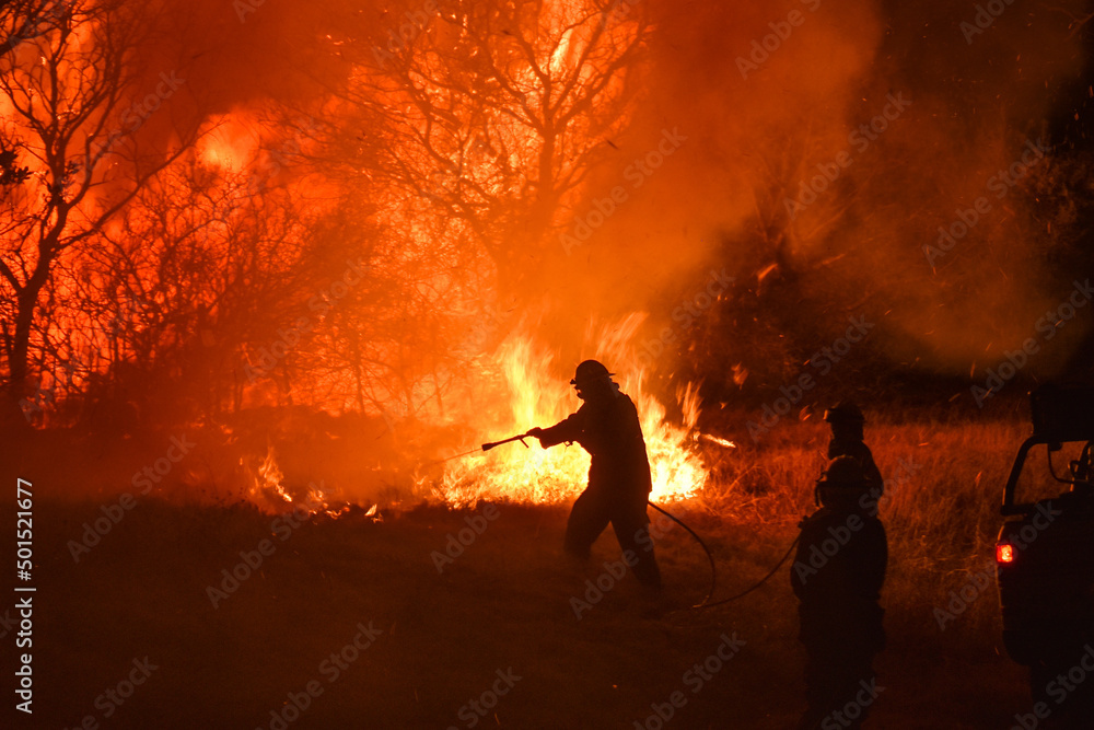 Obraz premium Bomberos trabajando durante un incendio forestal. Fuego y llamas amenazan el bosque, los arboles y el medio ambiente. Noche y llamas, riesgo y personal de emergencias. 