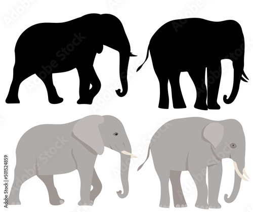 elephant black silhouette  on white background  isolated  vector