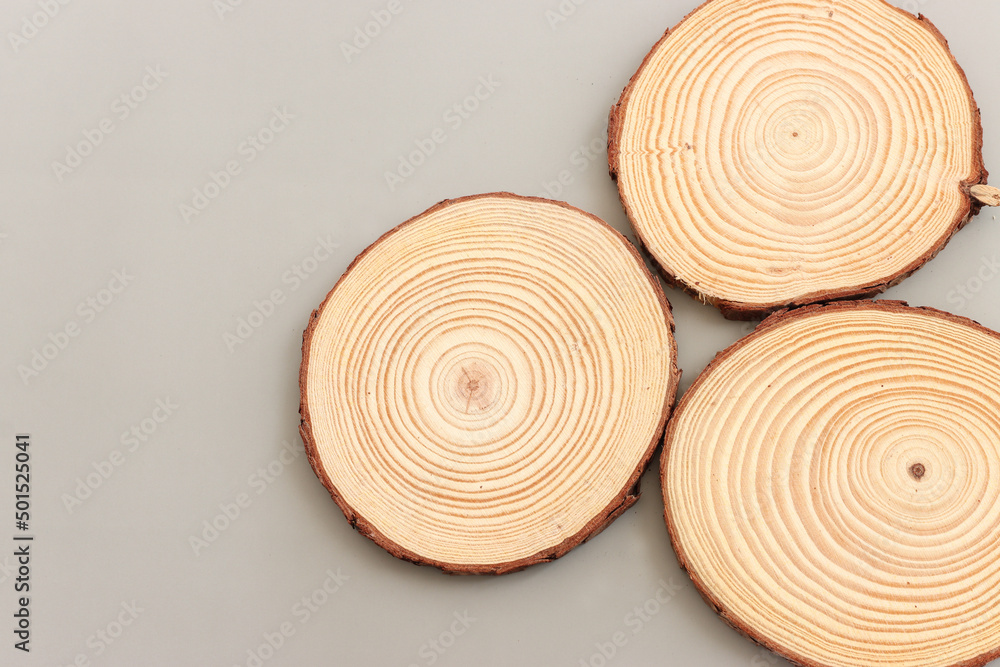 Fototapeta premium Wooden logs over gray background, eco and spa concept