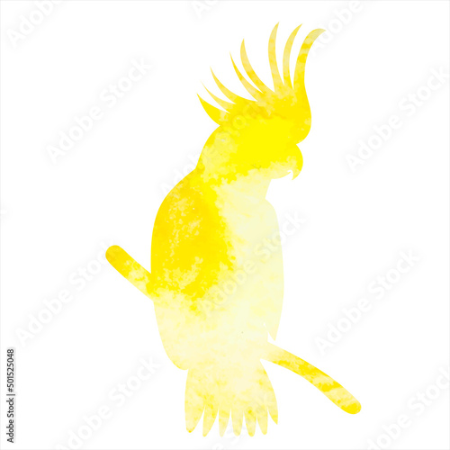 parrot watercolor silhouette, on white background, isolated, vector