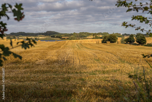 Langeland Dänemark photo