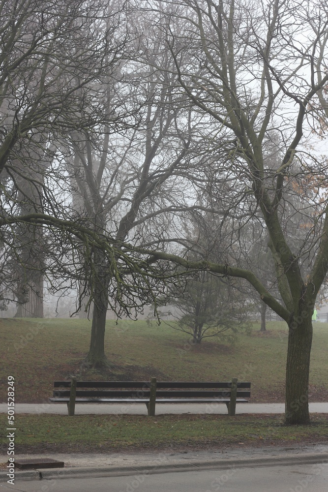 bench in the park in the dense fog