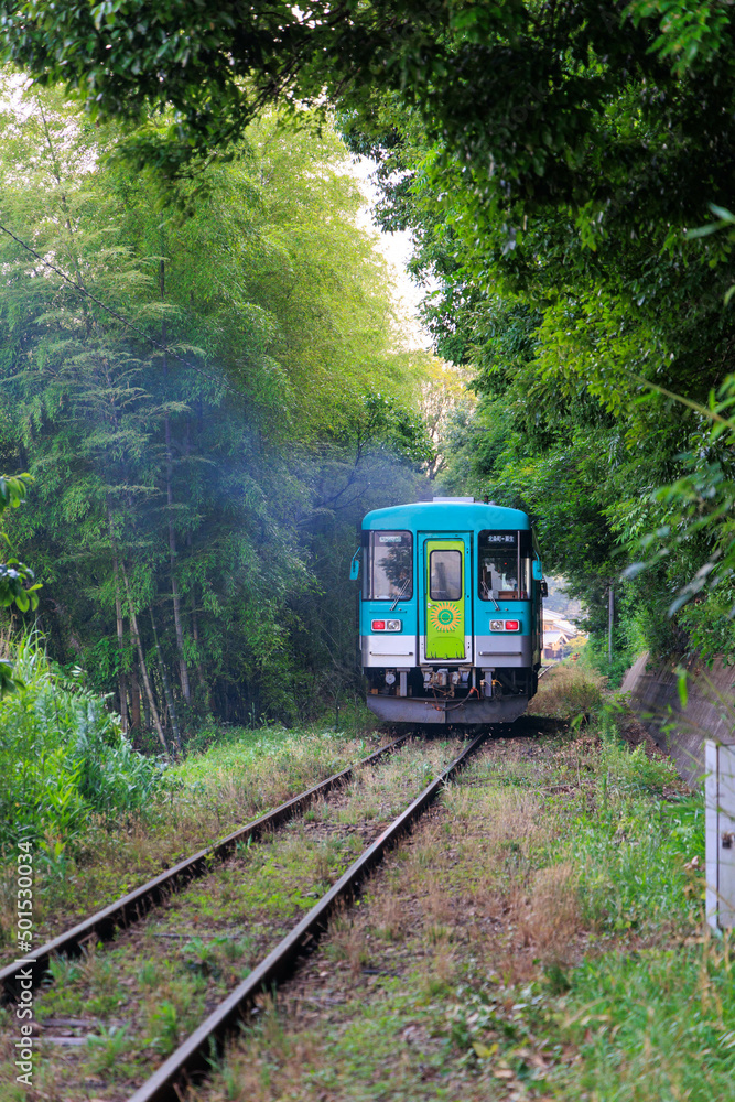 Naklejka premium 初夏と田舎のローカル線