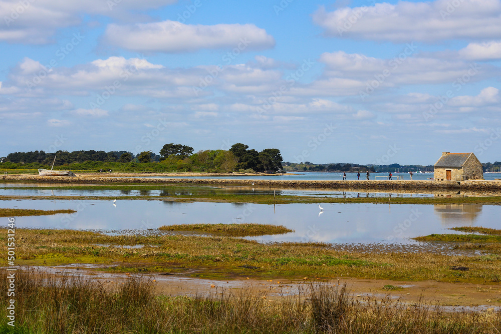 Baie intérieure sur l'île d'Arz à marée basse dans le golfe du Morbihan en Bretagne Baie intérieure sur l'île d'Arz à marée basse dans le golfe du Morbihan en Bretagne