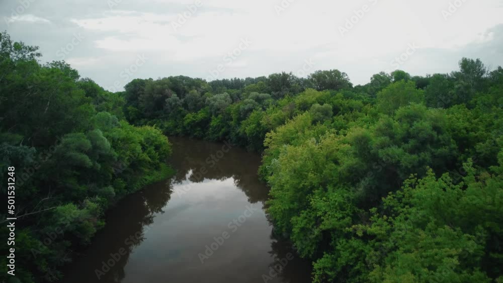 Forest, river between trees, beauty of nature, shooting on a copter Forest, river between trees, beauty of nature, shooting on a copter