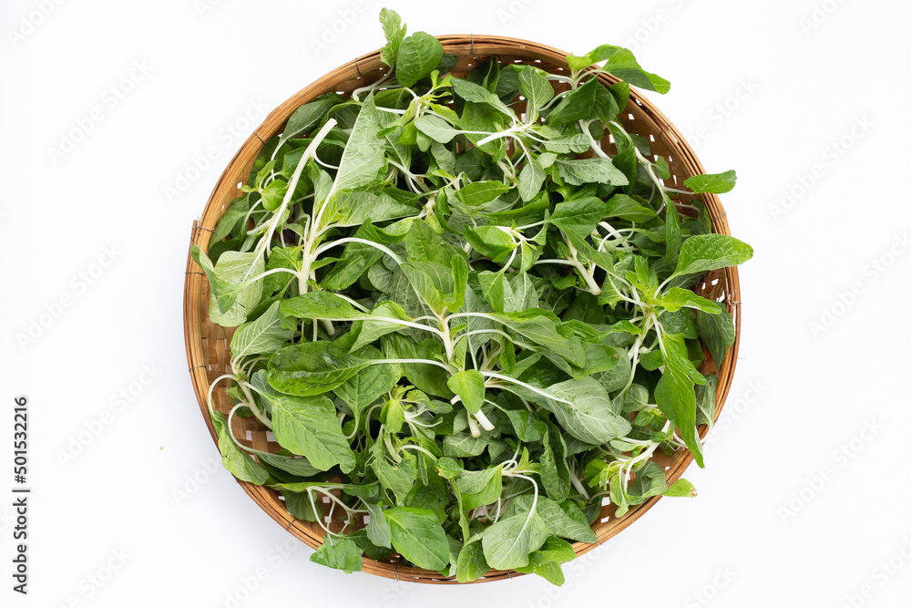 Green spinach on white background. Top view Green spinach on white background. Top view