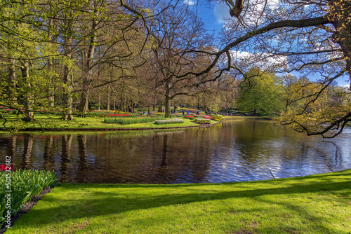 Pond in Keukenhof garden, Netherlands