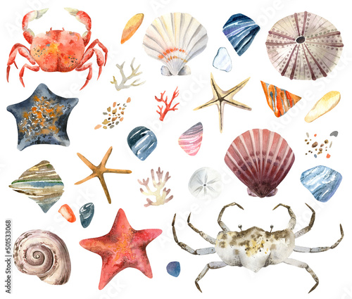 Watercolor illustration set of sea shells, starfish, crabs, sea stones