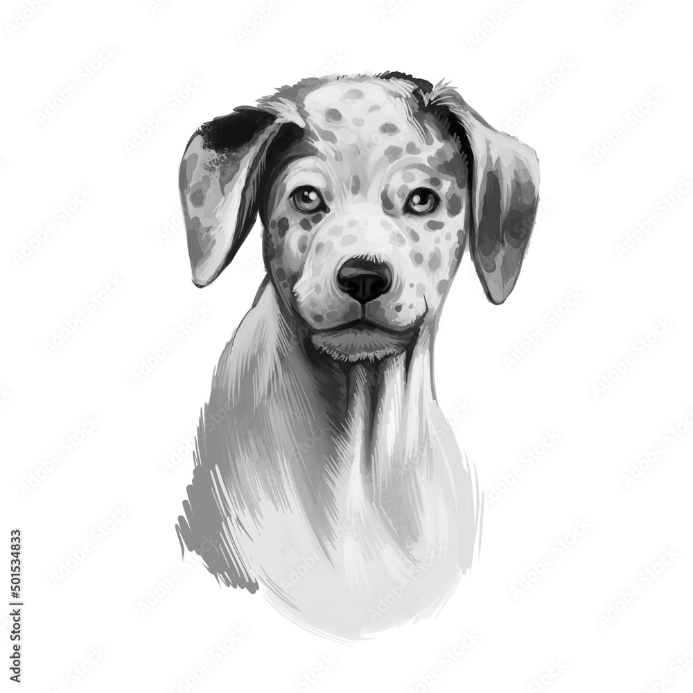 Catahoula Leopard dog breed isolated on white digital art illustration