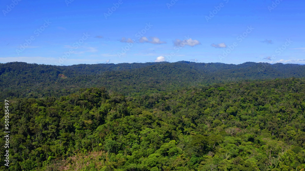 Obraz premium Landscape of Amazon