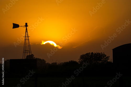 Dawn in the field