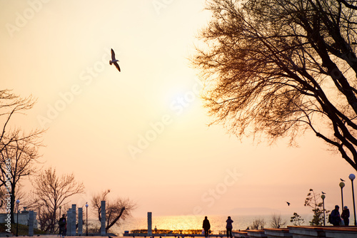 sunset over the city