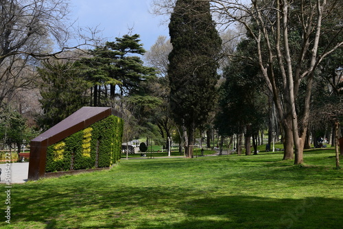 Panoramic view of the spring park. Glade with green grass and large beautiful trees.