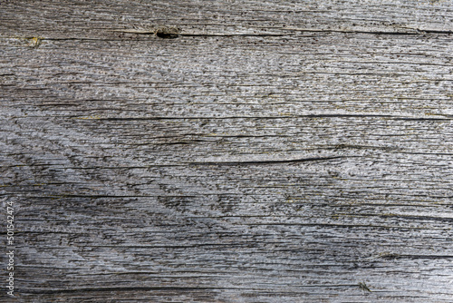 Textured gray plank with space for design. Natural wooden template