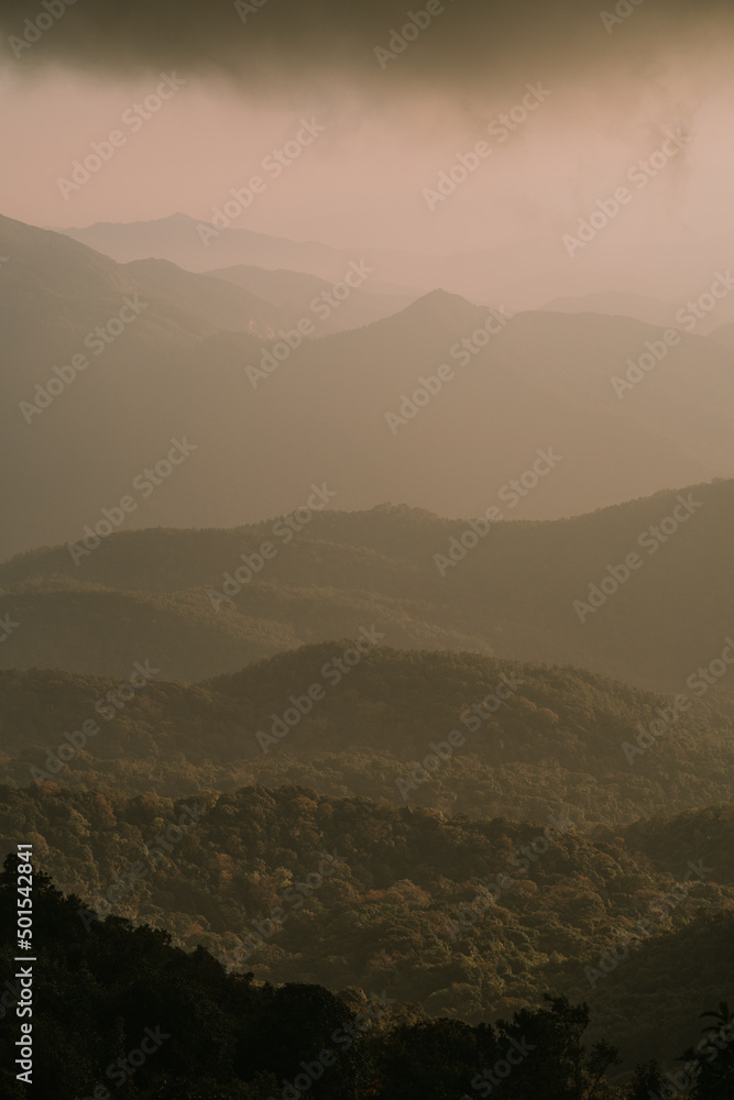 Dawn at Doi Inthanon National Park Thailand