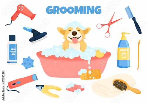 Flat vector banner pet grooming concept equipment elements. Cute dog character, takes a bubble bath and grooming tools for wool care. Dog washing service the grooming salon. 