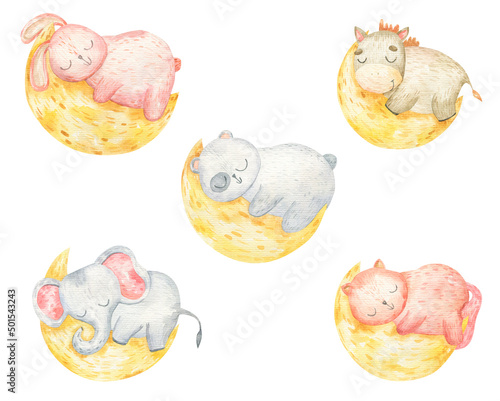 animals on moon watercolor clipart, childish design © Ilona
