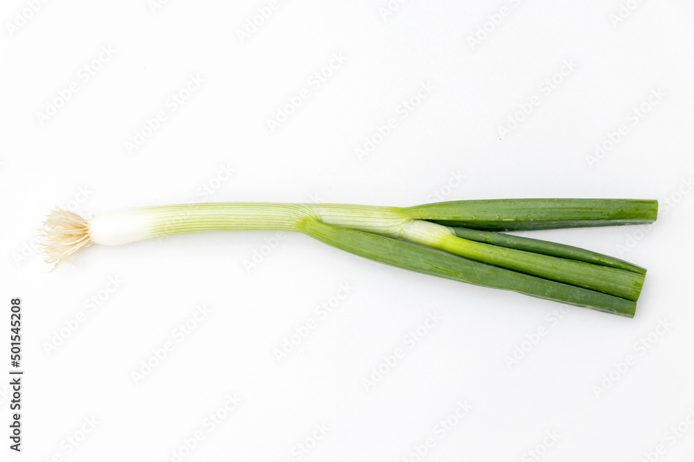 Spring onions slices or green onions in white background for text and copy space. Spring onions slices or green onions in white background for text and copy space.