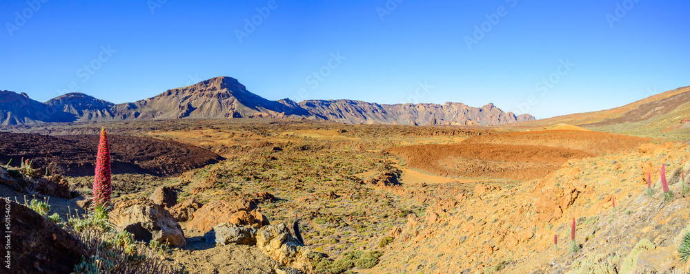 Blick über Vulkankrater im Teide Nationalpark auf der kanarischen Insel Teneriffa, Spanien