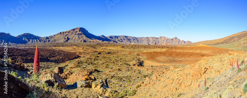 Obraz na płótnie Blick über Vulkankrater im Teide Nationalpark auf der kanarischen Insel Teneriffa, Spanien w salonie