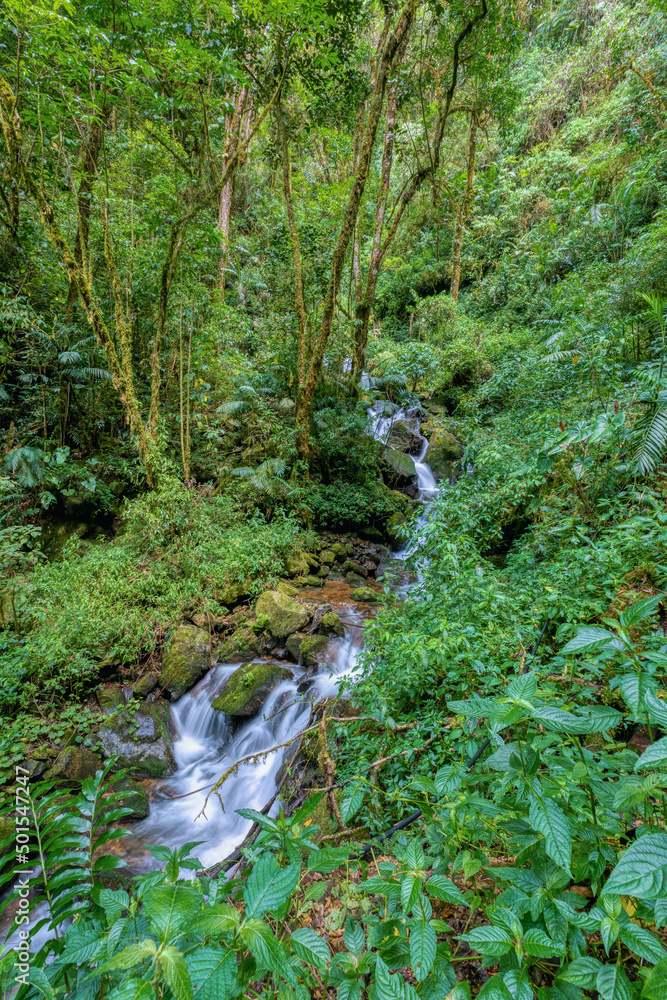 Long exposure of small wild mountain waterfall. Stunning landscape of wilderness and pure nature. San Gerardo de Dota, Costa Rica. Long exposure of small wild mountain waterfall. Stunning landscape of wilderness and pure nature. San Gerardo de Dota, Costa Rica.