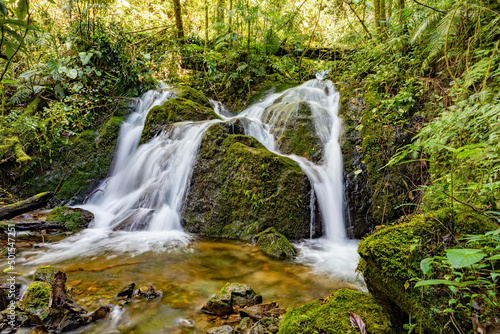 Long exposure of small wild mountain waterfall. Stunning landscape of wilderness and pure nature. San Gerardo de Dota  Costa Rica.