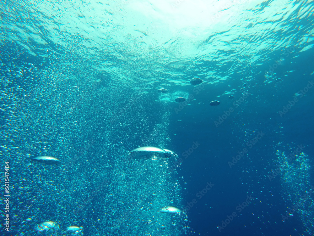 Obraz premium Bubbles under the water