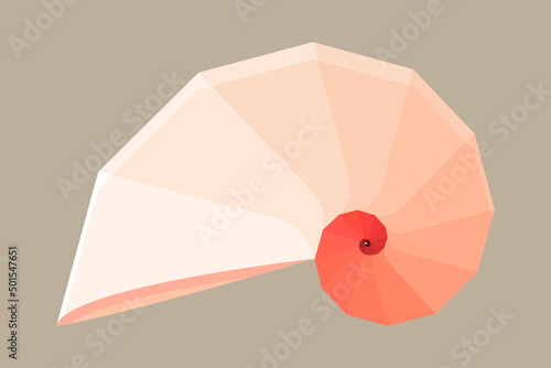 Geometric Nautilus shell symbol. Flat vector illustration