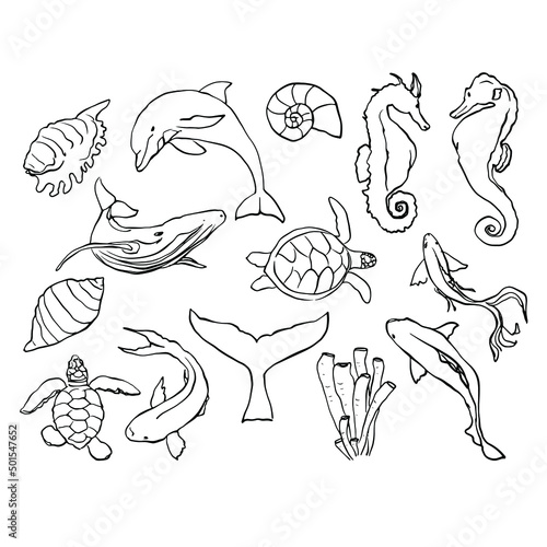Ocean life marine animals coloring page vector EPS. Hand-drawn sea creatures set: dolphin whale turtle seahorse fish shell coral sketch outlines. for children's coloring books, educational materials, 