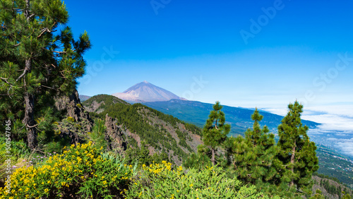 Obraz na płótnie Vulkan El Teide, höchste Berg von Spanien auf Teneriffa - Kanarische Inseln w salonie
