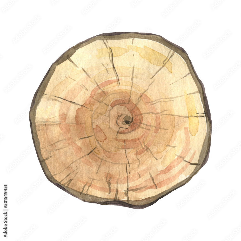 Obraz premium A wooden tablet is painted with watercolor. Text board. Isolated object on a white background.