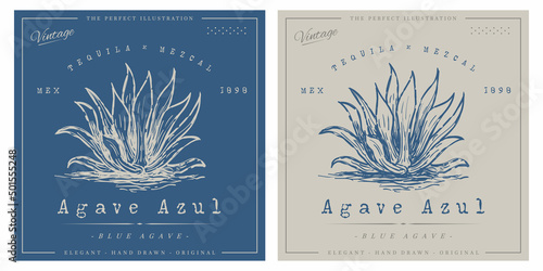 Blue agave vintage logo tequila template