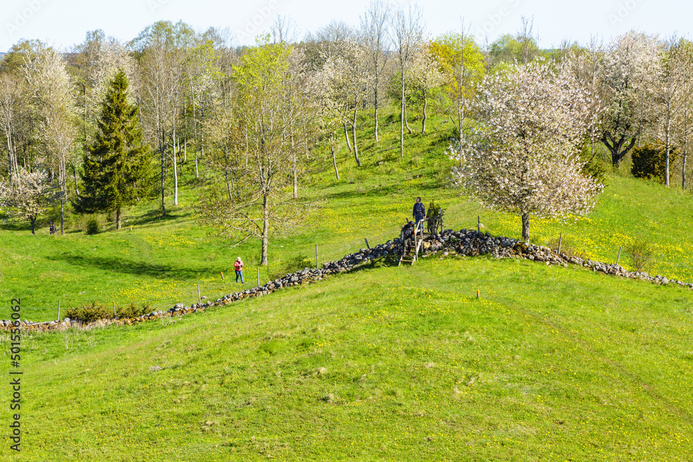 Obraz premium People on a hiking trail that crosses a stone wall