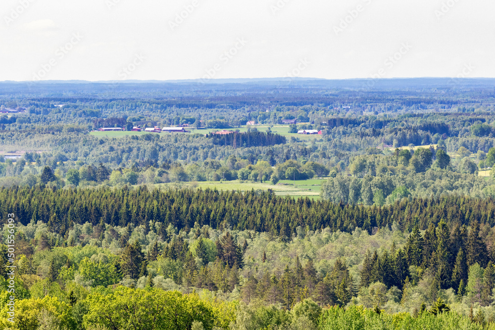 Obraz premium View of rural countryside with forests and horizon in summer