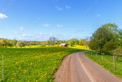 Dirt road through rural landscape in spring