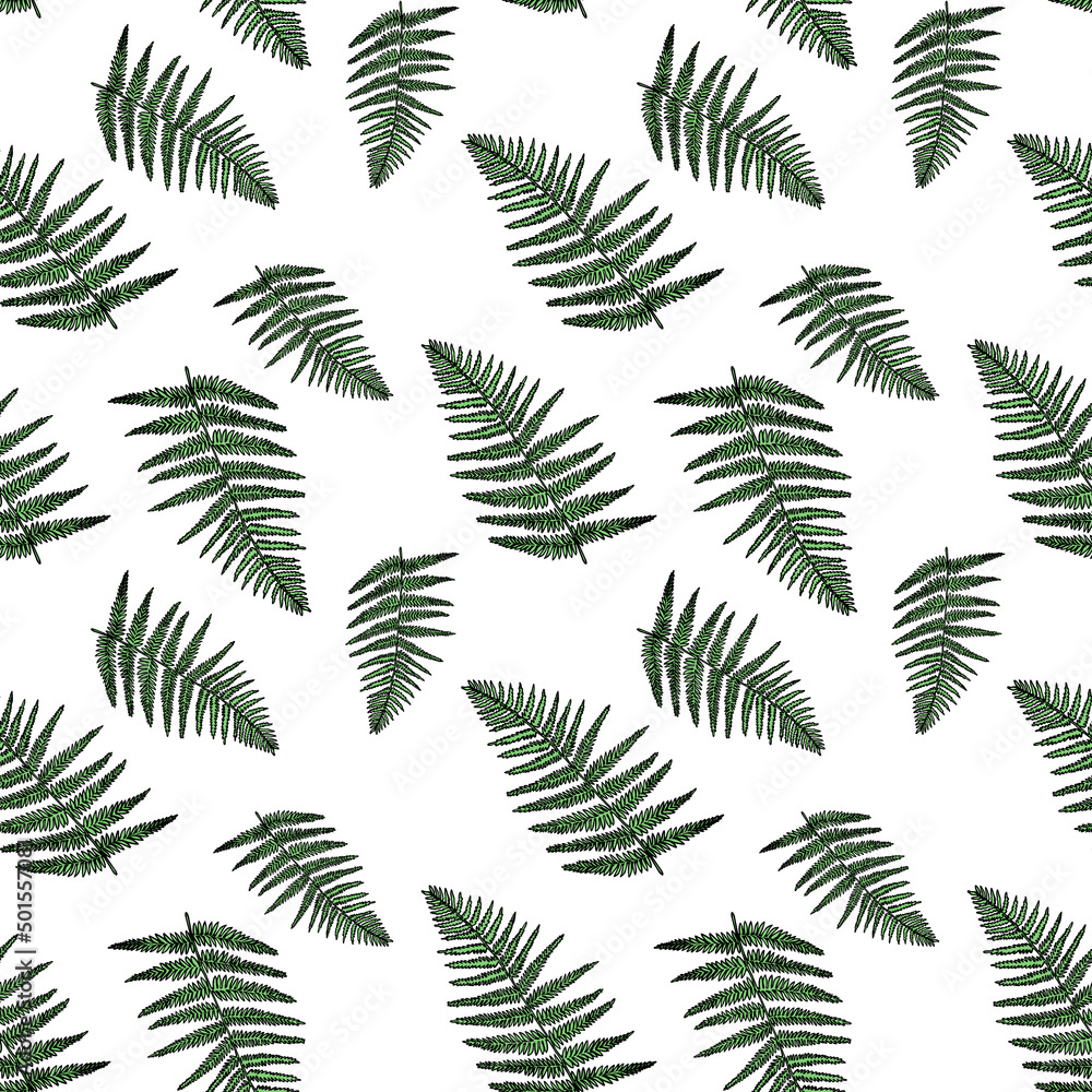 Vector pattern with ink fern