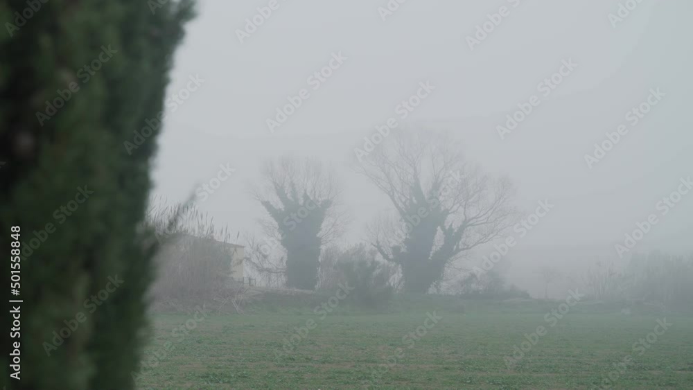 Beautiful predawn fog in the countryside. Silhouettes of trees in the haze. Fields and forests in a mist. Mysterious fairytale atmosphere.