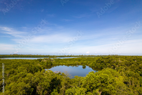 Aerial view of the fishing houses at mangrove forest © namning
