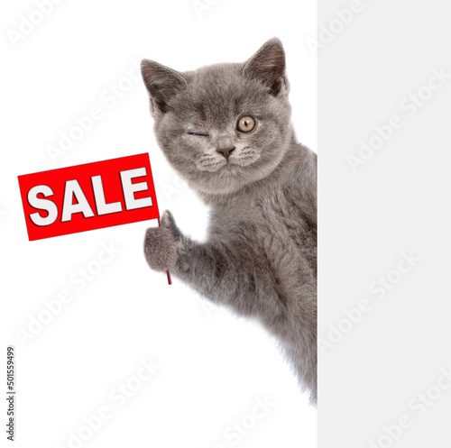 Winking kitten holds sales symbol behind empty white banner. Empty space for text. Isolated on white background