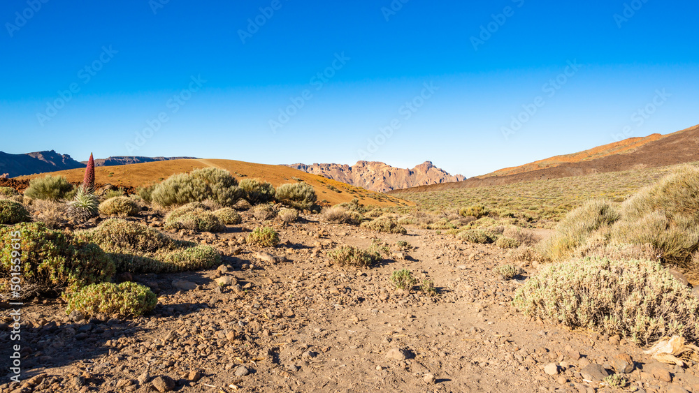 Typischer Wanderweg in Steinwüste des Teide Nationalpark auf Teneriffa, Kanaren, Spanien
