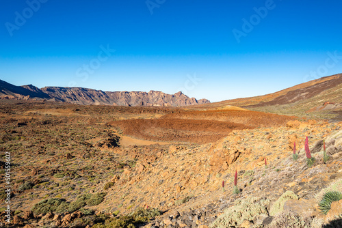 Typische Vulkanlandschaft im Teide Nationalpark auf der kanarischen Insel Teneriffa © MCM