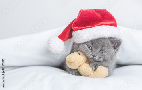 Cute kitten wearing red santa hat hugs toy bear under white blanket