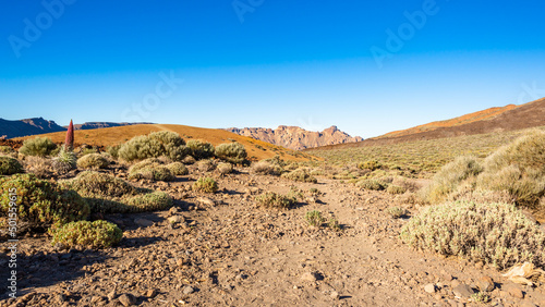 Obraz na płótnie Typischer Wanderweg in Steinwüste des Teide Nationalpark auf Teneriffa, Kanaren, Spanien w salonie