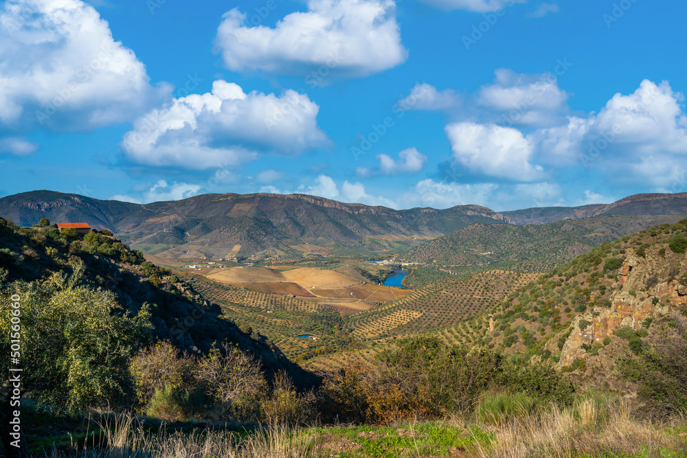 View over the valley of the Alto da Sapinha's Lookout.(Miradouro do Alto da Sapinha)