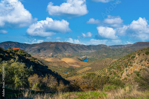 View over the valley of the Alto da Sapinha's Lookout.(Miradouro do Alto da Sapinha) photo