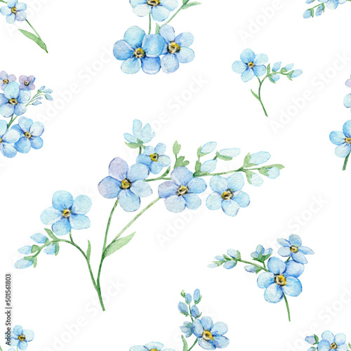 Watercolor seamless pattern of blue forget-me-nots. Hand painted illustration with summer flowers isolated on white background