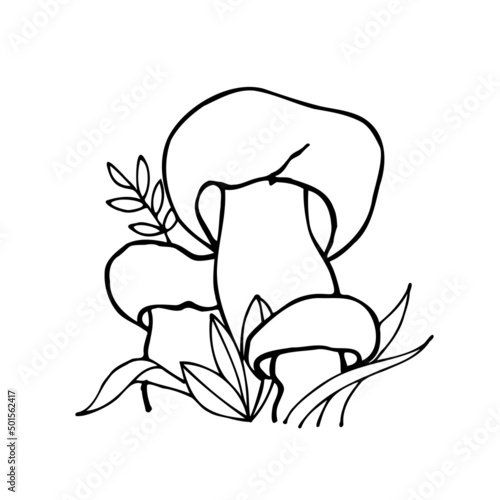 Vector illustration of white mushrooms in the forest. Sketch style drawing isolated on white background. Vegetarian object for menu, label, product packaging