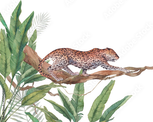 Fototapeta Naklejka Na Ścianę i Meble -  Watercolor leopard illustration. African predator cat in jungle. Wallpaper design