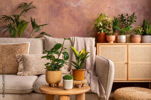 Stylish composition of creative spacious living room interior with plants, sofa, coffee table, rattan chest of drawers and stylish accessories. Botanical space of a cozy room. Brown walls. Template.